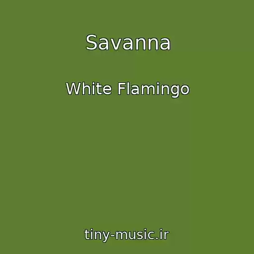 کاور آهنگ Savanna از White Flamingo