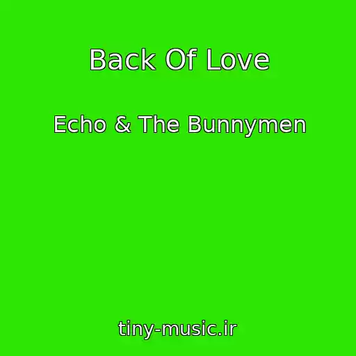کاور آهنگ Back Of Love از Echo & The Bunnymen