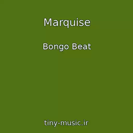 کاور آهنگ Marquise از Bongo Beat