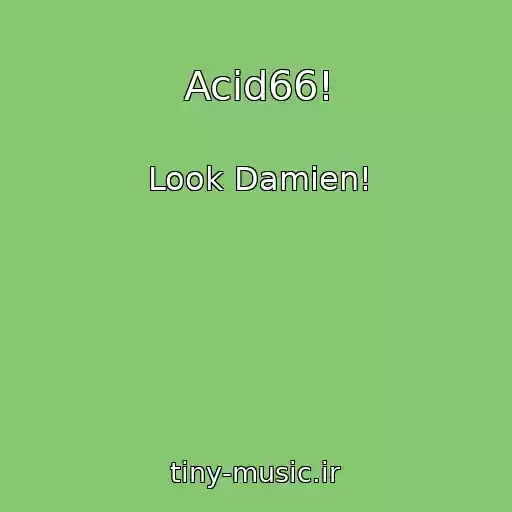 کاور آهنگ Acid66! از Look Damien!