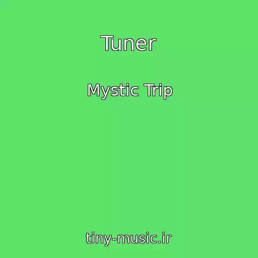 کاور آهنگ Tuner از Mystic Trip