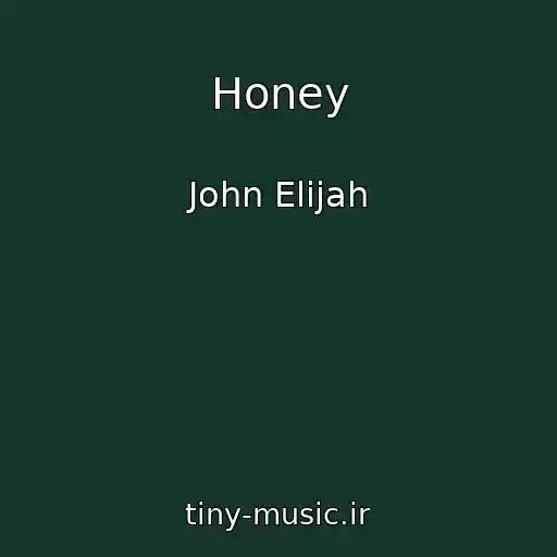 کاور آهنگ Honey از John Elijah
