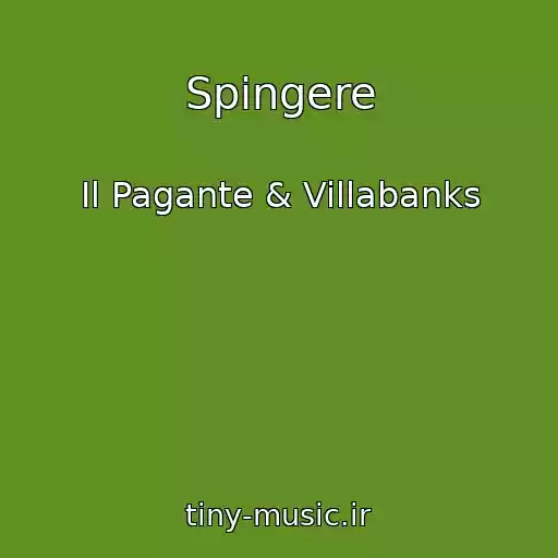 کاور آهنگ Spingere از Il Pagante & Villabanks