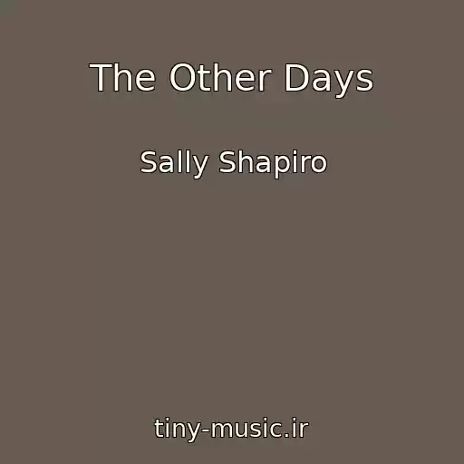 کاور آهنگ The Other Days از Sally Shapiro