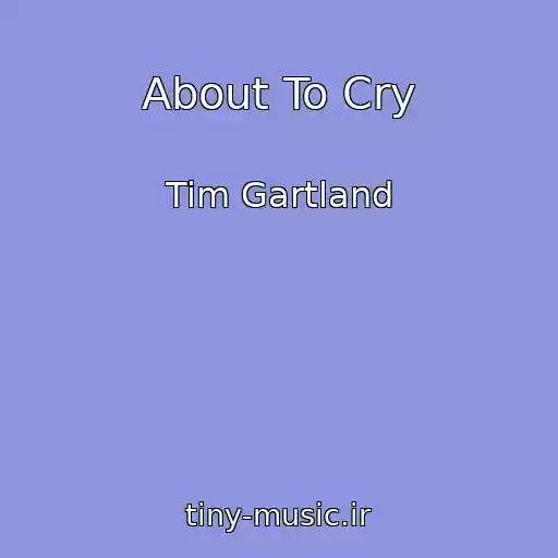 کاور آهنگ About To Cry از Tim Gartland