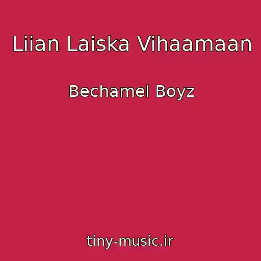 کاور آهنگ Liian Laiska Vihaamaan از Bechamel Boyz