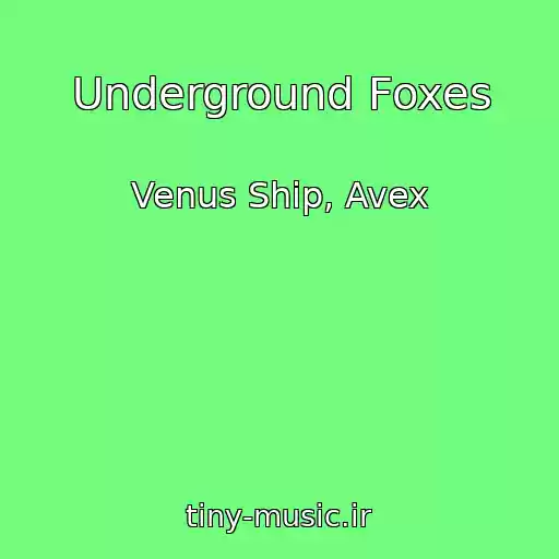 کاور آهنگ Underground Foxes از Venus Ship, Avex