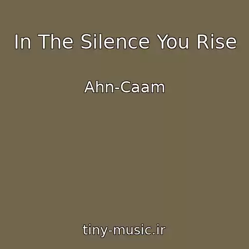 کاور آهنگ In The Silence You Rise از Ahn-Caam