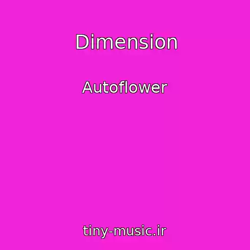 کاور آهنگ Dimension از Autoflower