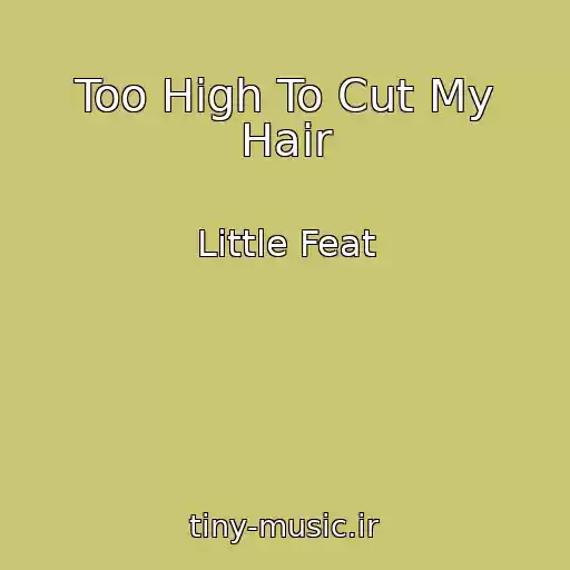 کاور آهنگ Too High To Cut My Hair از Little Feat
