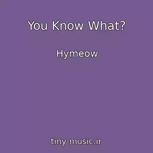کاور آهنگ You Know What? از Hymeow