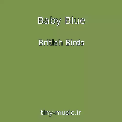 کاور آهنگ Baby Blue از British Birds