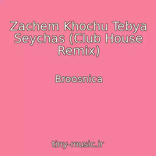 کاور آهنگ Zachem Khochu Tebya Seychas (Club House Remix) از Broosnica