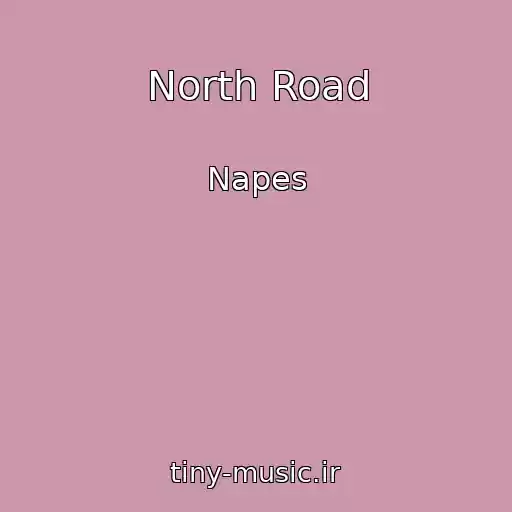 کاور آهنگ North Road از Napes