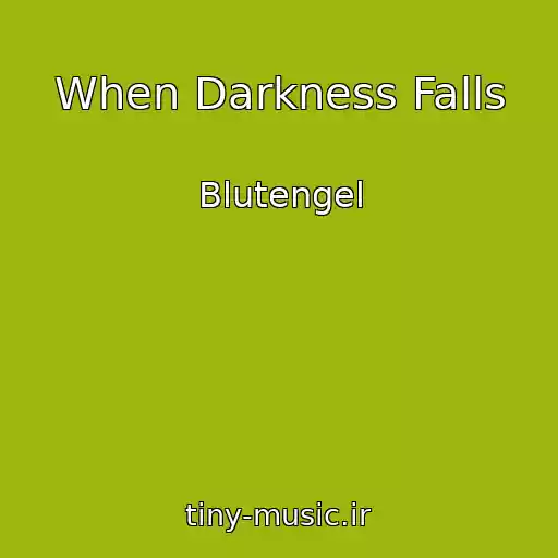 کاور آهنگ When Darkness Falls از Blutengel