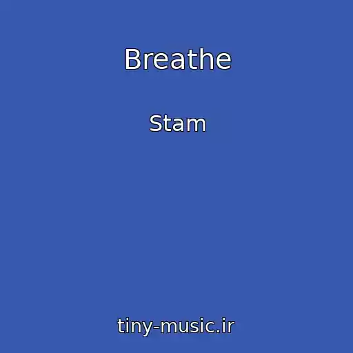 کاور آهنگ Breathe از Stam