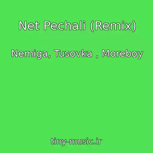 کاور آهنگ Net Pechali (Remix) از Nemiga, Tusovka , Moreboy