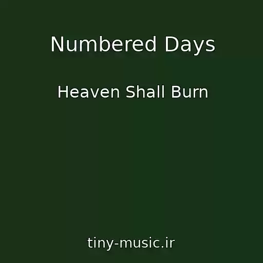 کاور آهنگ Numbered Days از Heaven Shall Burn