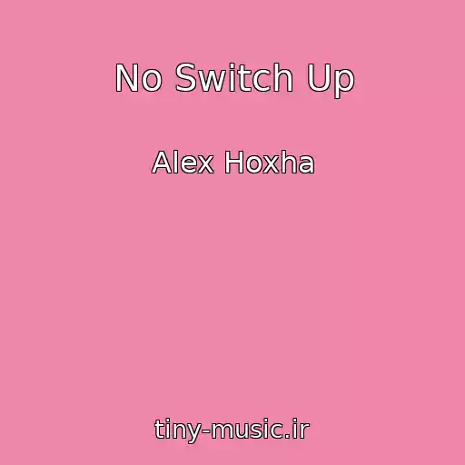 کاور آهنگ No Switch Up از Alex Hoxha