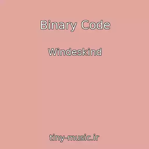 کاور آهنگ Binary Code از Windeskind