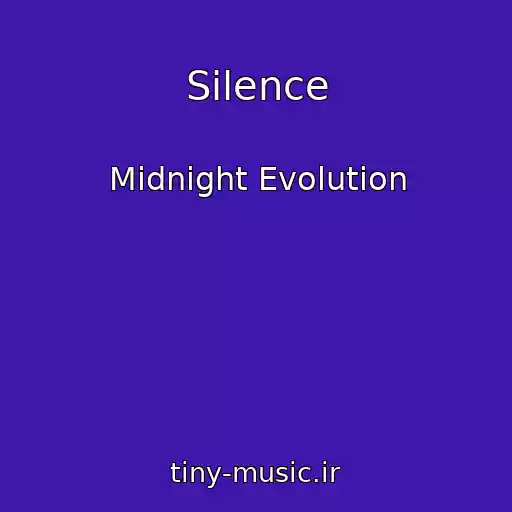 کاور آهنگ Silence از Midnight Evolution
