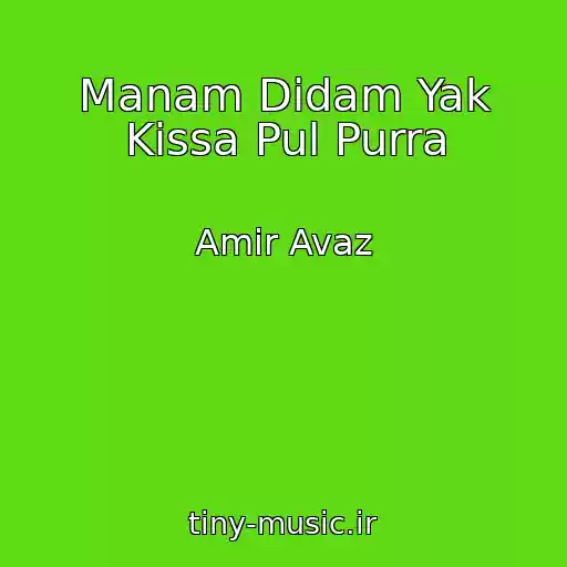 کاور آهنگ Manam Didam Yak Kissa Pul Purra از Amir Avaz