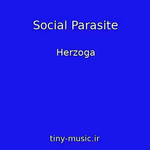 کاور آهنگ Social Parasite از Herzoga