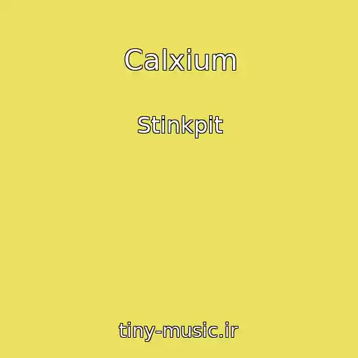 کاور آهنگ Calxium از Stinkpit