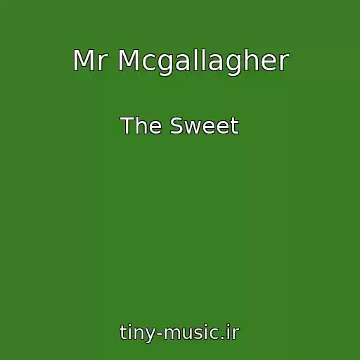 کاور آهنگ Mr Mcgallagher از The Sweet