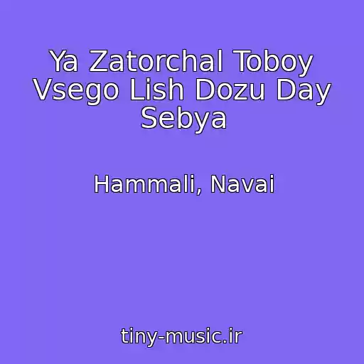 کاور آهنگ Ya Zatorchal Toboy Vsego Lish Dozu Day Sebya از Hammali, Navai