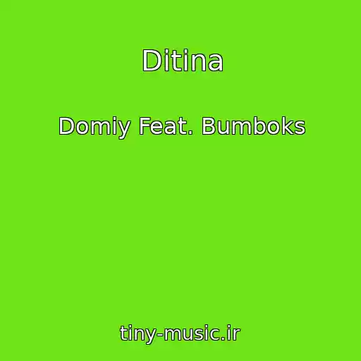 کاور آهنگ Ditina از Domiy Feat. Bumboks