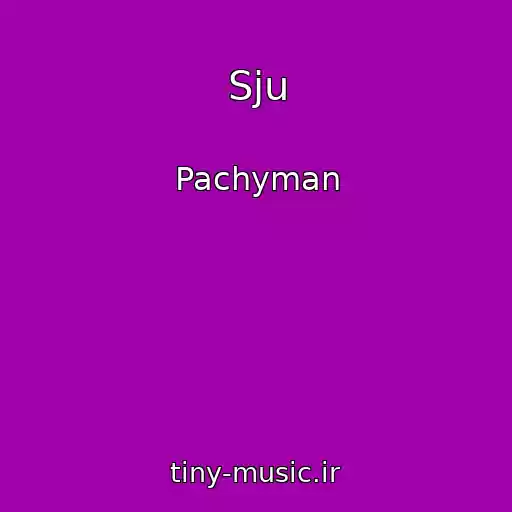 کاور آهنگ Sju از Pachyman