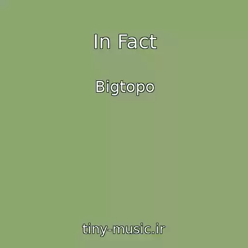 کاور آهنگ In Fact از Bigtopo