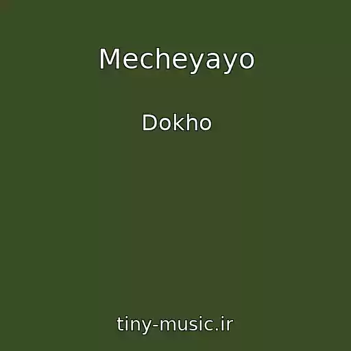 کاور آهنگ Mecheyayo از Dokho