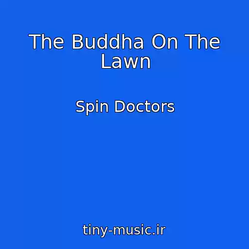 کاور آهنگ The Buddha On The Lawn از Spin Doctors