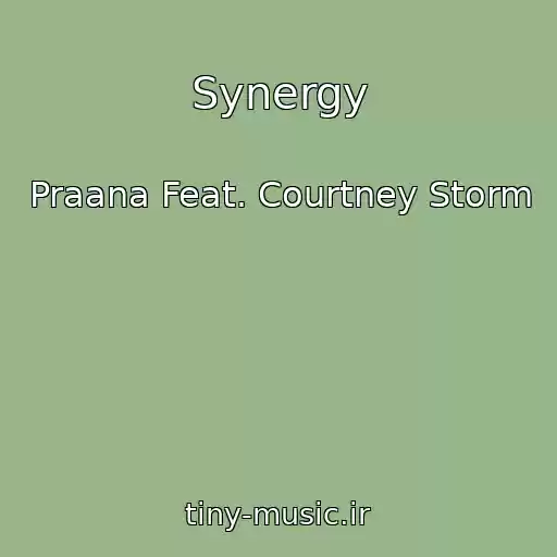 کاور آهنگ Synergy از Praana Feat. Courtney Storm