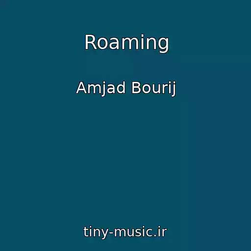 کاور آهنگ Roaming از Amjad Bourij