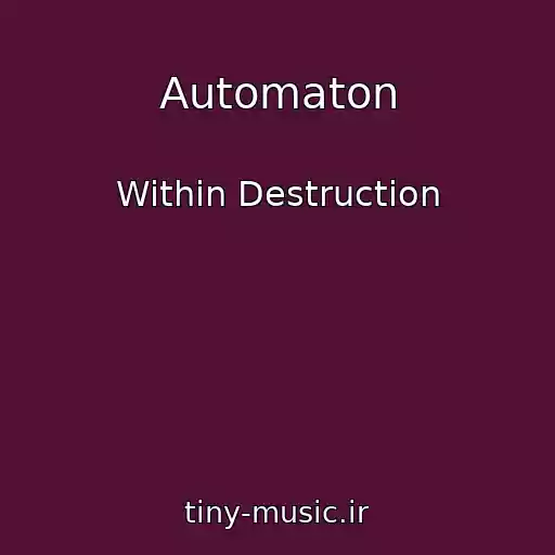 کاور آهنگ Automaton از Within Destruction