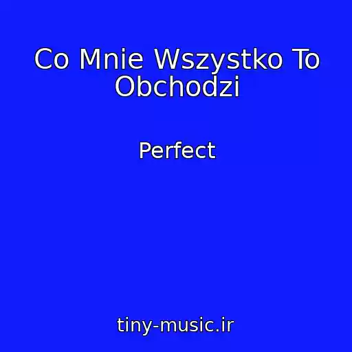 کاور آهنگ Co Mnie Wszystko To Obchodzi از Perfect