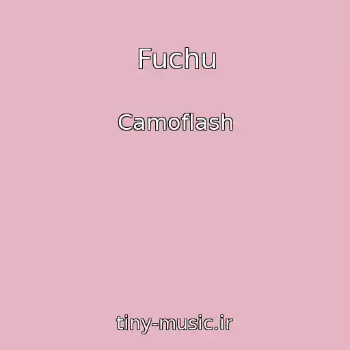 کاور آهنگ Fuchu از Camoflash