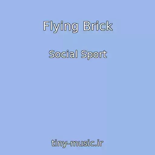 کاور آهنگ Flying Brick از Social Sport