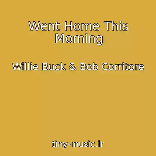 کاور آهنگ Went Home This Morning از Willie Buck & Bob Corritore