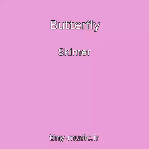 کاور آهنگ Butterfly از Skimer