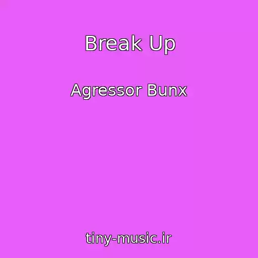 کاور آهنگ Break Up از Agressor Bunx