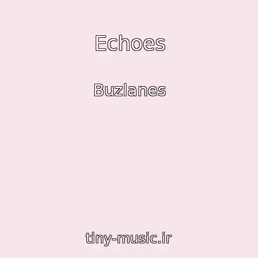 کاور آهنگ Echoes از Buzlanes