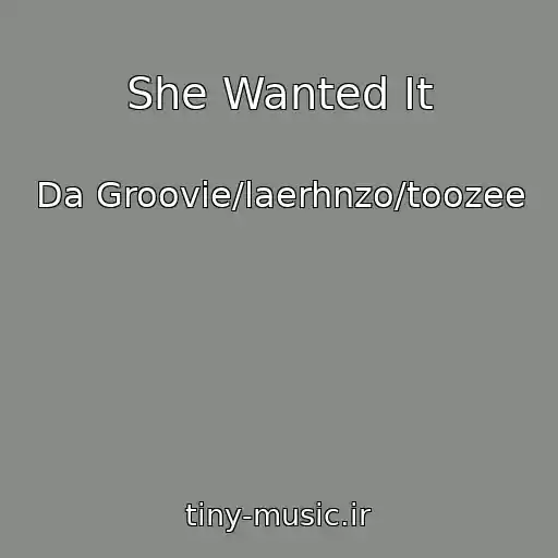 کاور آهنگ She Wanted It از Da Groovie/laerhnzo/toozee