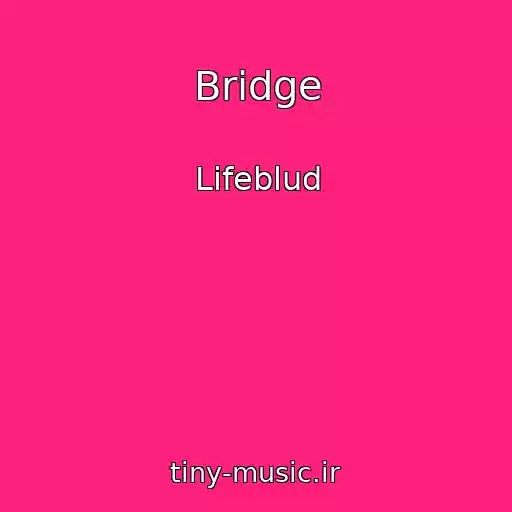 کاور آهنگ Bridge از Lifeblud