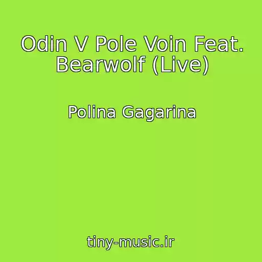 کاور آهنگ Odin V Pole Voin Feat. Bearwolf (Live) از Polina Gagarina