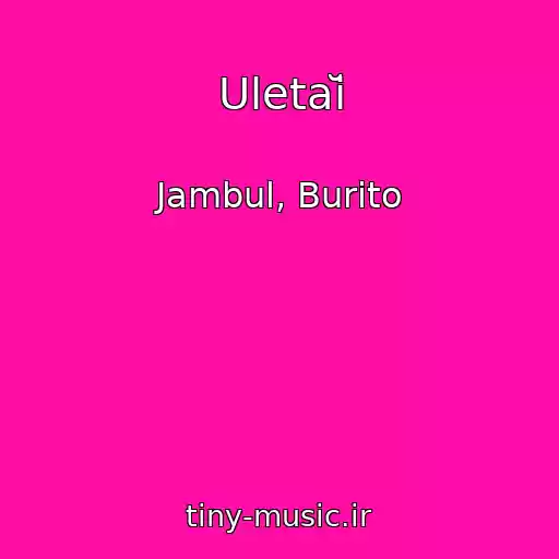 کاور آهنگ Uletaĭ از Jambul, Burito