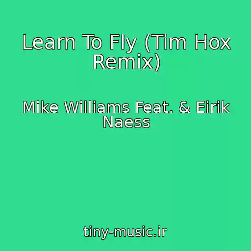 کاور آهنگ Learn To Fly (Tim Hox Remix) از Mike Williams Feat. & Eirik Naess